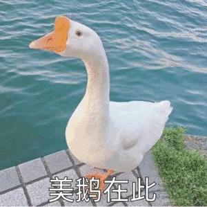 好物|一直忍着没公布！这个用一次就变漂亮的东西！链接拿去