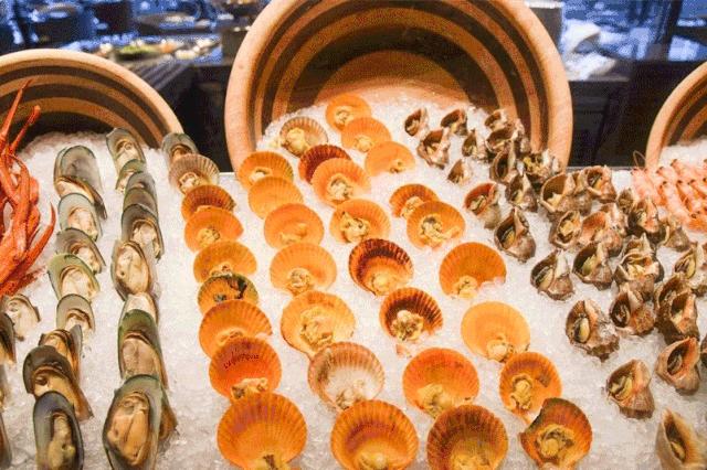 喜来登海鲜双人自助,日照喜来登扶墙海鲜自助