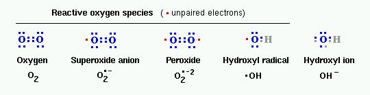 金色葡萄球菌感染会死吗,金色葡萄球菌感染有危险吗