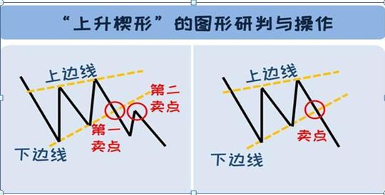 一个猴子的故事大全,一个猴子真实故事