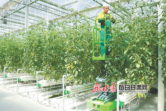 兰州新区绿色发展,兰州的生态文明建设的成果