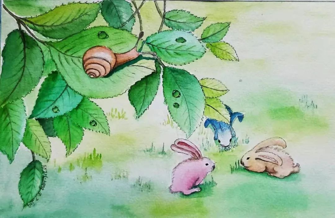 壕妈康姐姐分享｜如何画好商画？