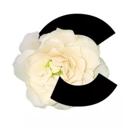 寻人启事叛逆期,寻人启事最快的方法