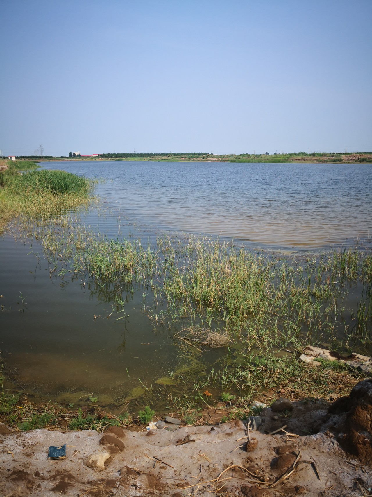 廉颇老矣尚能饭否下句,廉颇老矣尚能饭否下一句神回复