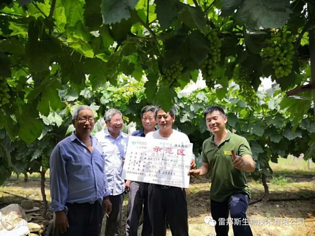 农资年入百万,农资挣钱