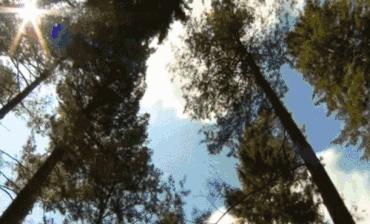 保护野生动物和生态文明建设,保护野生动物检察机关