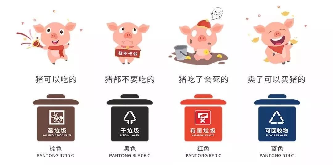 垃圾分类评分查询,快来做个垃圾分类小测试