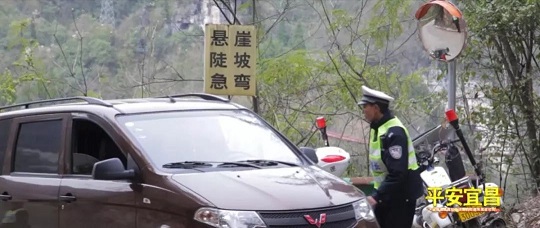 社会治安防控体系建设推进方案,社会治安防控体系建设工作情况