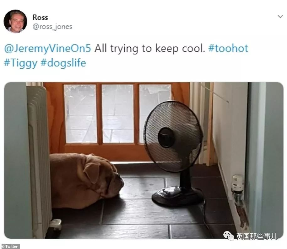 伦敦高温热浪解决,伦敦天气很热