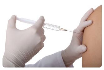 美洲传染病,美洲传出来了多少病毒