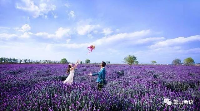 一分钟了解邯郸邯山区,邯郸邯山区介绍