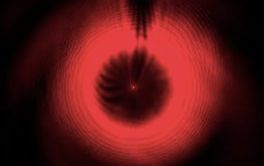 眼睛会发光的小虫,眼睛里有小虫子爬的感觉是咋回事