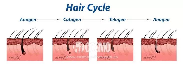 美人计|杨超越爬完长城“脱发”了？妹妹你太耿直了8