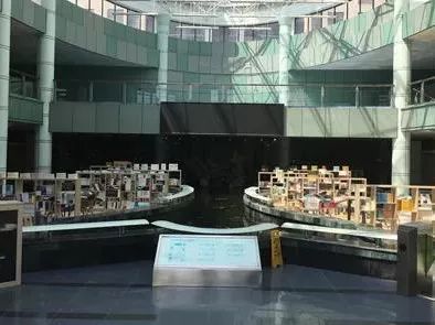 都上央视了！大学校园书店怎么突然这么火？