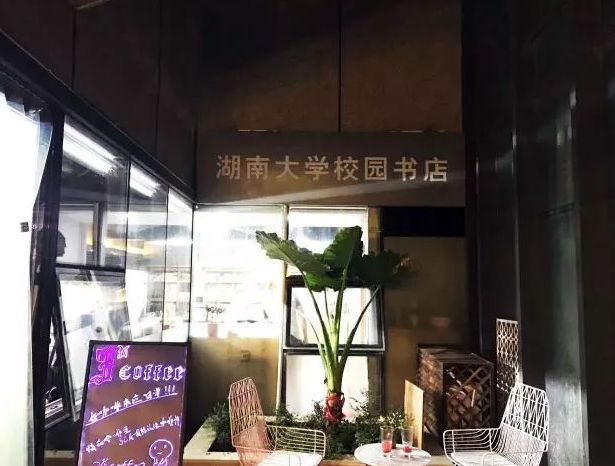 都上央视了！大学校园书店怎么突然这么火？
