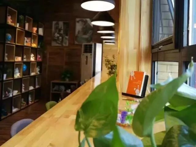 都上央视了！大学校园书店怎么突然这么火？