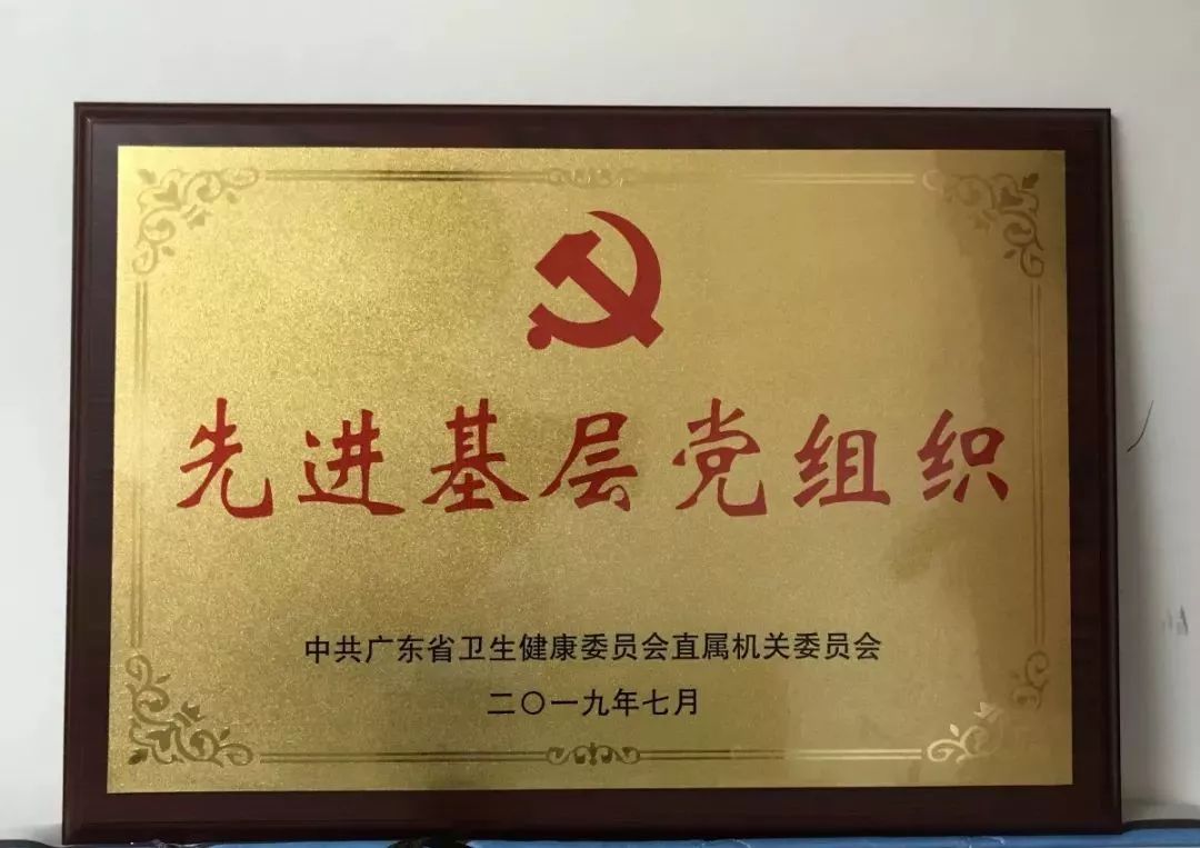 党建点燃乡村振兴新引擎,党建引领践初心奋楫扬帆勇担当