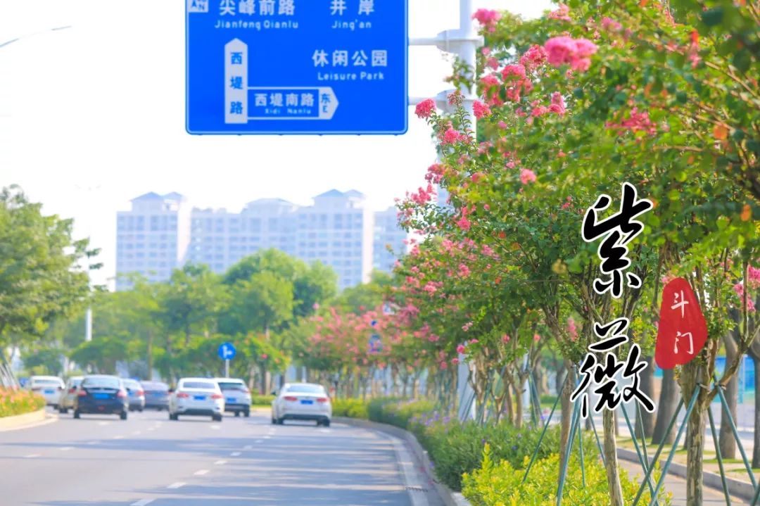 喜欢拍照的快来打卡,想去拍照的景点