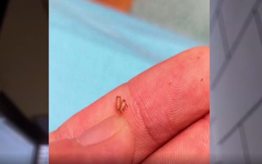 女业主交房被气哭,新房入伙女主人哭