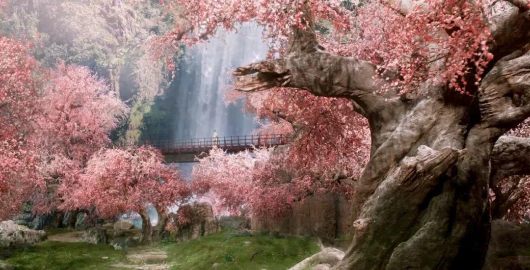 宸汐缘服装设计,宸汐缘创作的原声