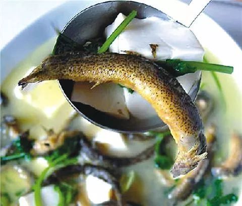 养龙虾的经济效益和养殖技术研究,养殖一亩的龙虾每年有多少收入