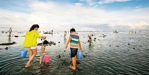 秦皇岛赶海哪里有螃蟹,秦皇岛蟹贝湾赶海