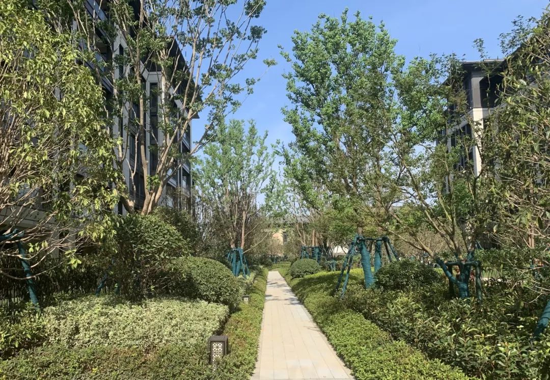 融创在郑州的第一个项目,融创在郑州的楼盘