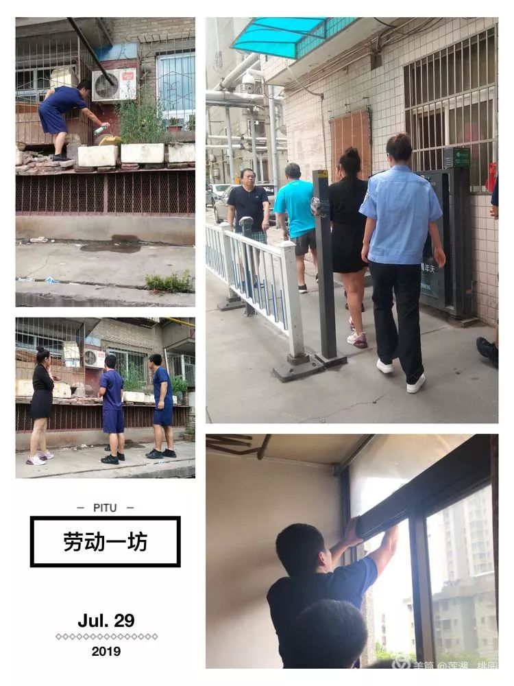 附近马蜂多怎么消灭,附近有马蜂怎么办