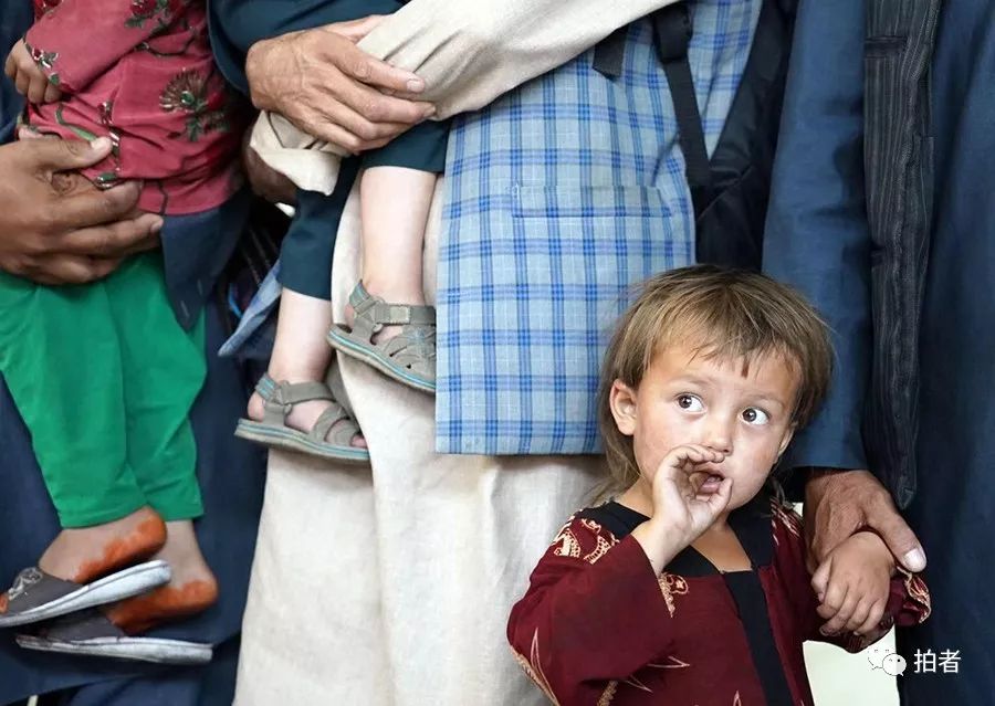 7月31日视频,7月精彩瞬间