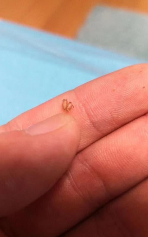 南京金浦紫御东方有多少栋,南京金浦紫御东方小区怎么样