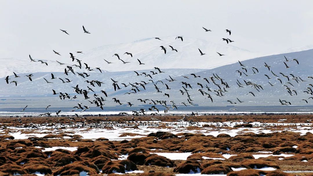 便宜又清凉的避暑地,避暑地推荐