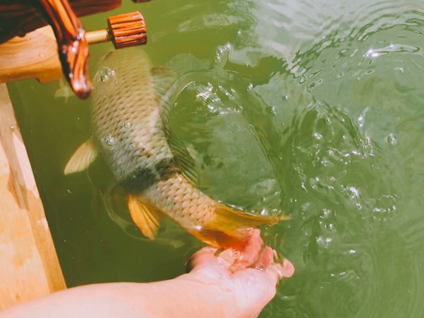 钓鱼装备全套小型鱼竿推荐,私人订制鱼竿路亚