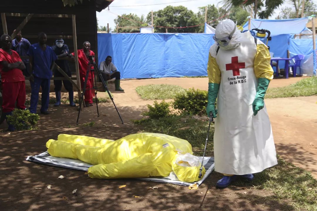 埃博拉还能存活多少年,埃博拉为什么一波三折