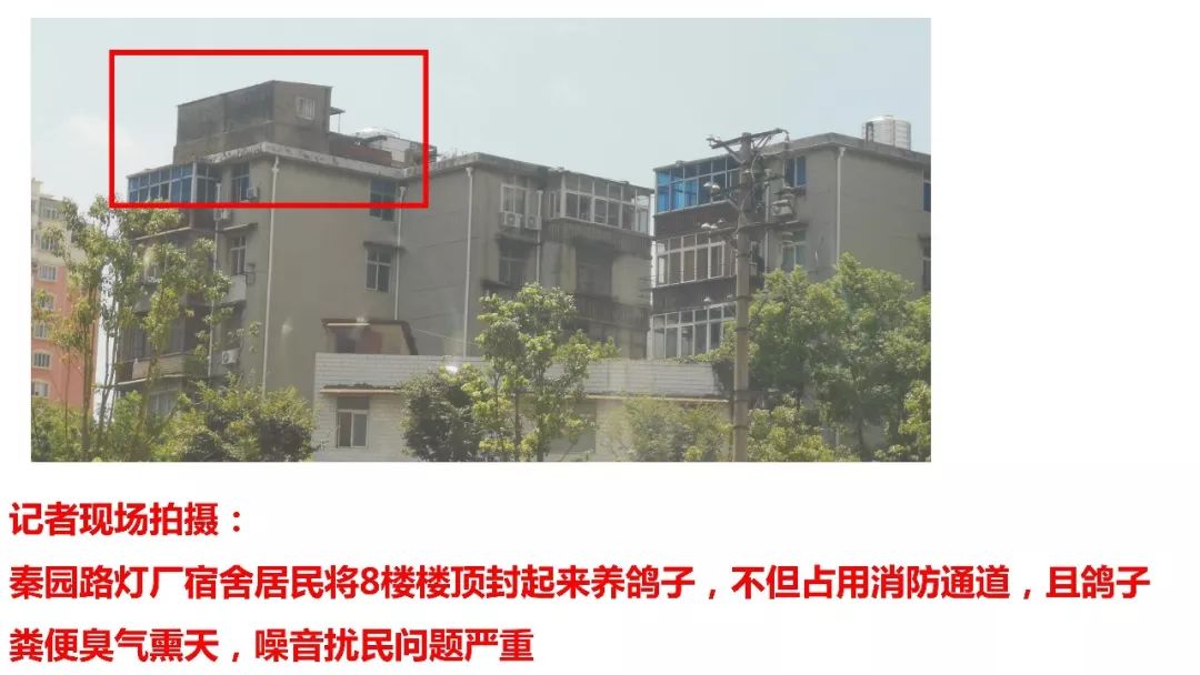 第四十集丨伙结！都这热的天了，你还不出去流点汗？