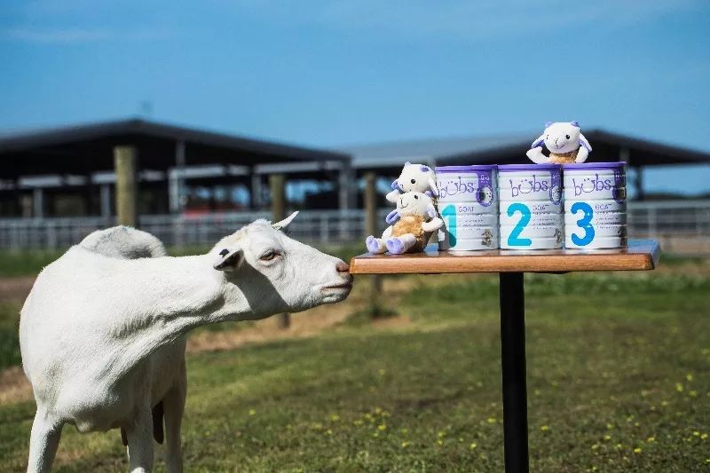 风很大美赞臣,风很大的国产奶粉