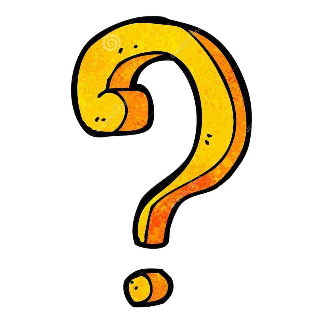 你做好准备领养一只猫了么?