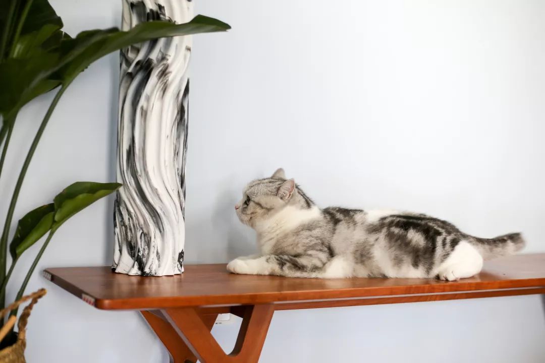 法式复古水晶洞戒指,法式复古高级冷淡风戒指