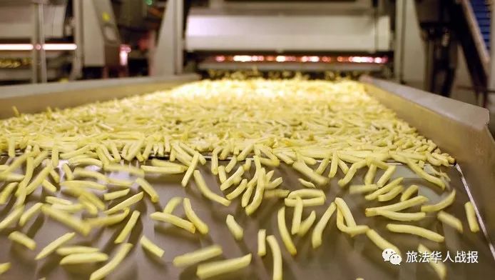 「环保」法国北部惊现“油雨”污染罪魁祸首是比利时炸薯条？