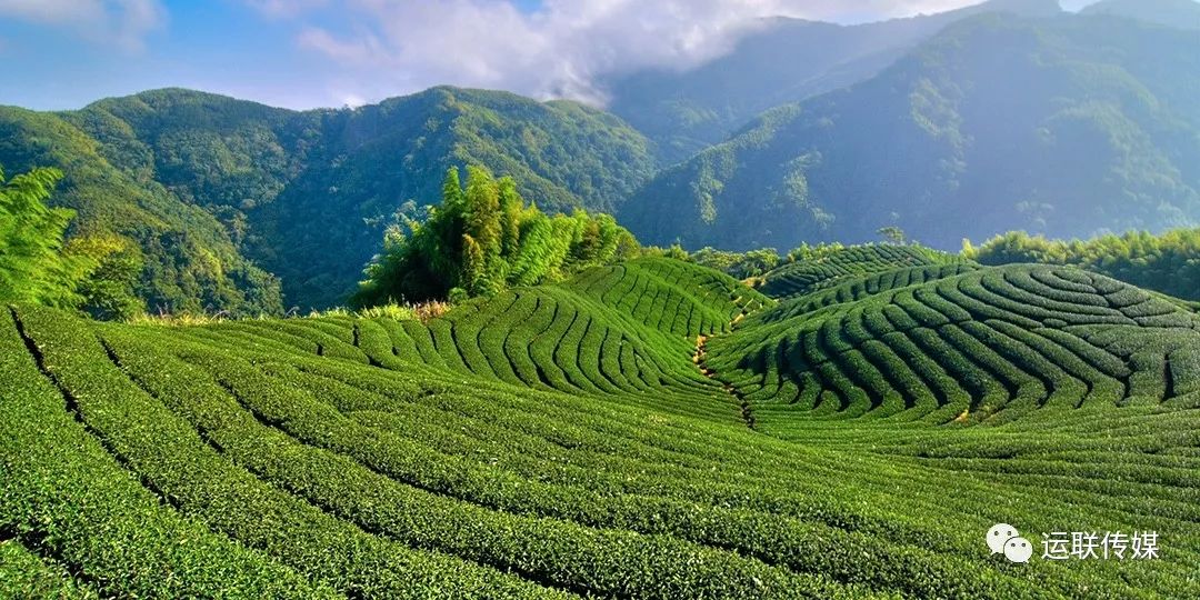 「运联研究」高端水果物流为什么独爱顺丰？