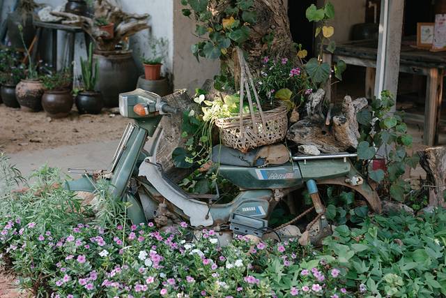 大陆之南，粤西越美，被旅行者忽略的处女地——雷州半岛