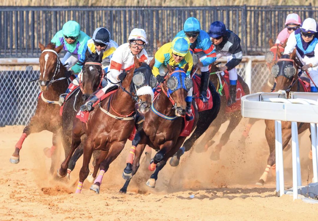 旅游度假区体旅融合,度假旅游产业发展