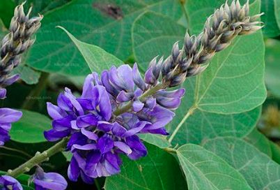 昔日女神负面消息缠身险过气,转手做生意却搞得风生水起