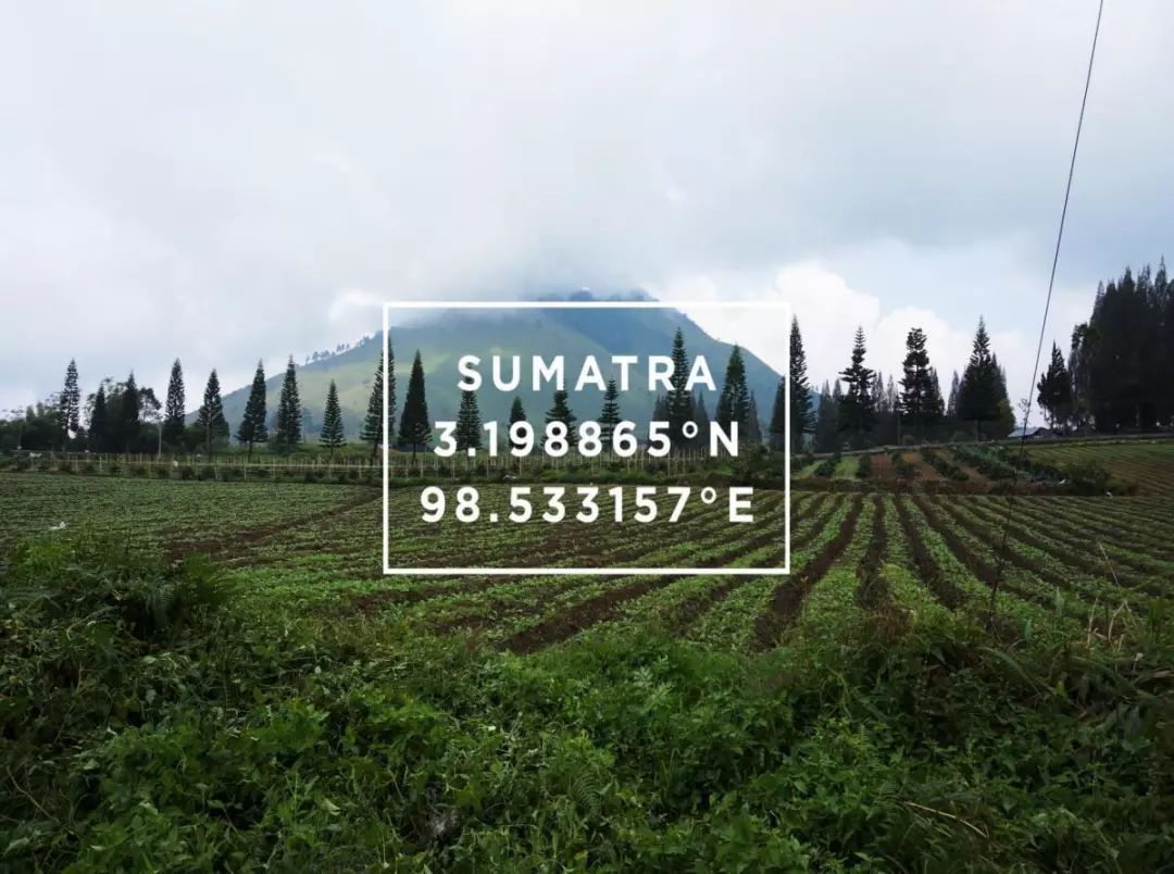 印度尼西亚属于哪个洲,泰国新加坡印度尼西亚