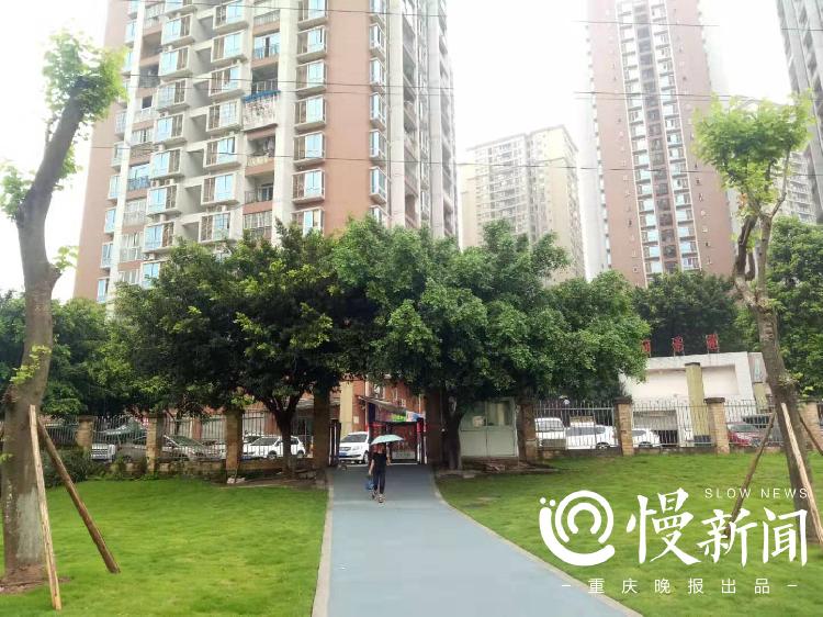 文化体育公园开园,50个社区体育文化公园