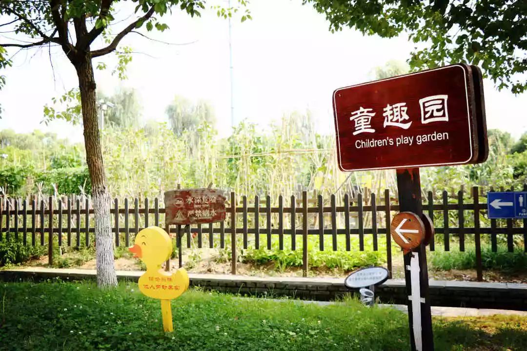 南京江宁区秣陵杏花村景区,南京秣陵杏花村