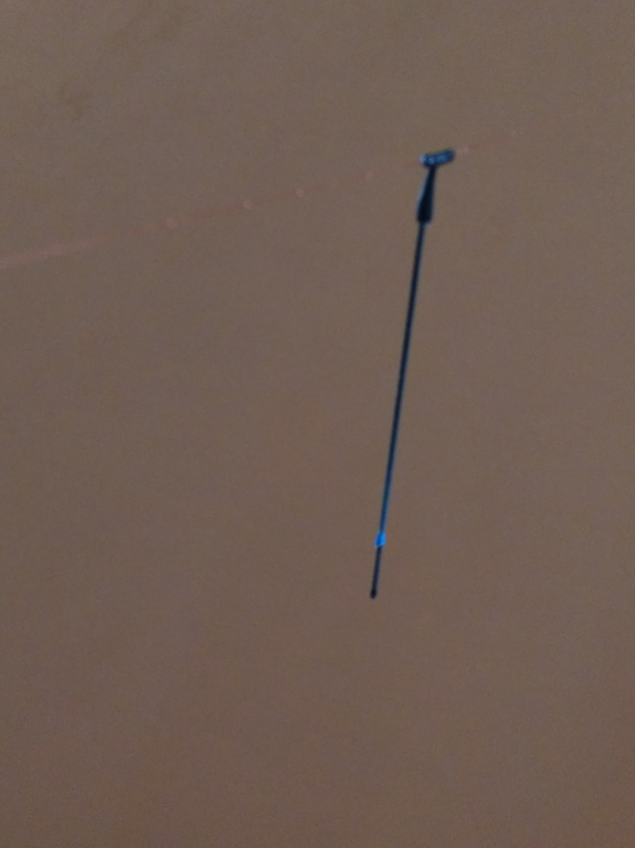 一不小心成坑冠，奈何狂拉还是败给网工...