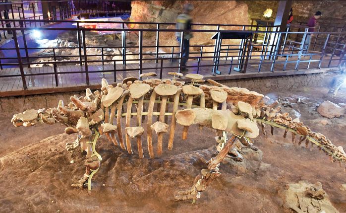 汝阳旅游优惠,汝阳免门票旅游景点