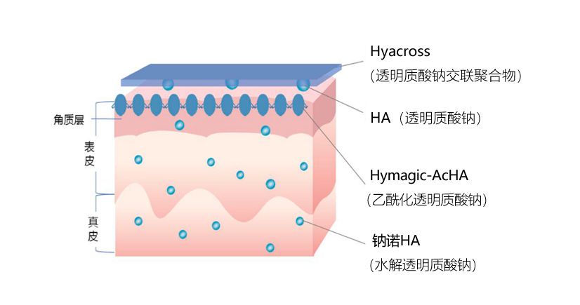 敷这12款面膜也太舒服了，我不准你没用过