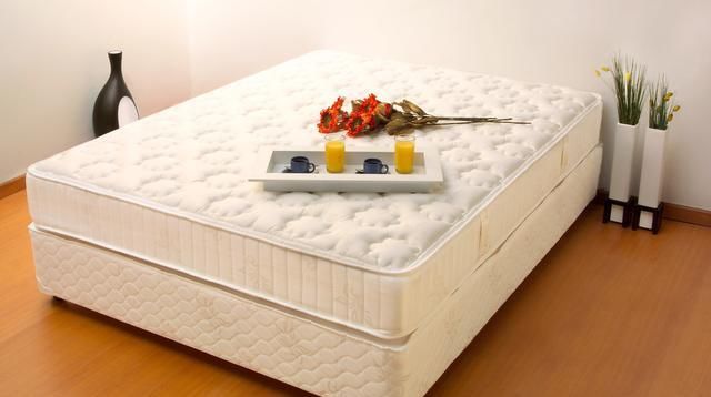 螨虫克星草本植物去螨虫,简单一招治螨虫