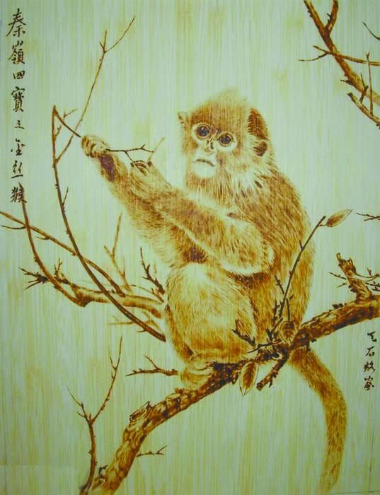 一群热爱艺术的学生,一群热爱艺术的人